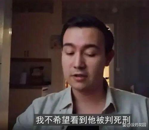 天涯爆料聂磊案件视频,天涯爆料背后的真相与争议