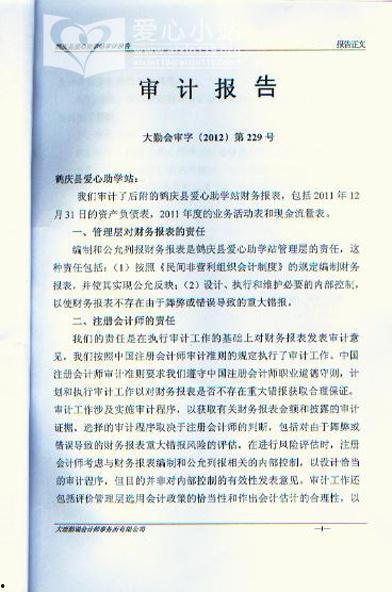 审计报告在线观看,揭秘企业财务真实面貌